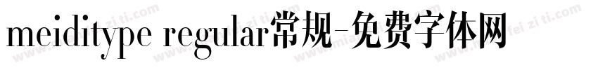 meiditype regular常规字体转换